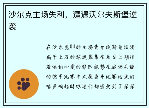 沙尔克主场失利，遭遇沃尔夫斯堡逆袭